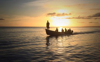 En la Bahía de Amatique, en el Caribe de Guatemala, unos 600 pescadores se dedican a la pesca de la manjúa, una sardina muy importante para el desarrollo biológico marino de la zona. Foto: Jorge Rodríguez